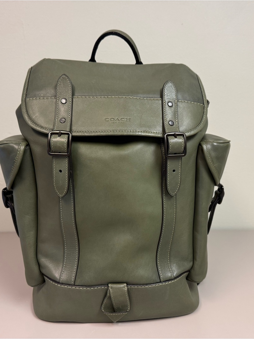 Coach Hitch Backpack